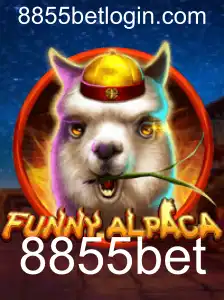 Descubra o Fascinante Mundo de FunnyAlpaca